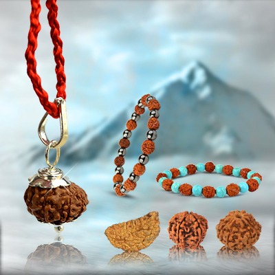 Rudraksha